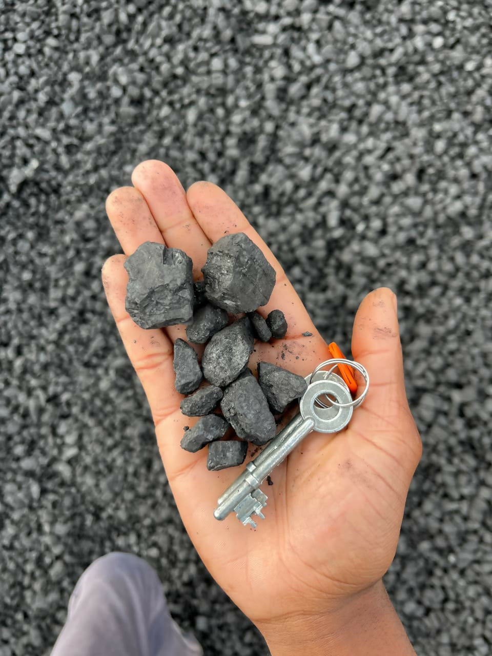 Anthracite peas